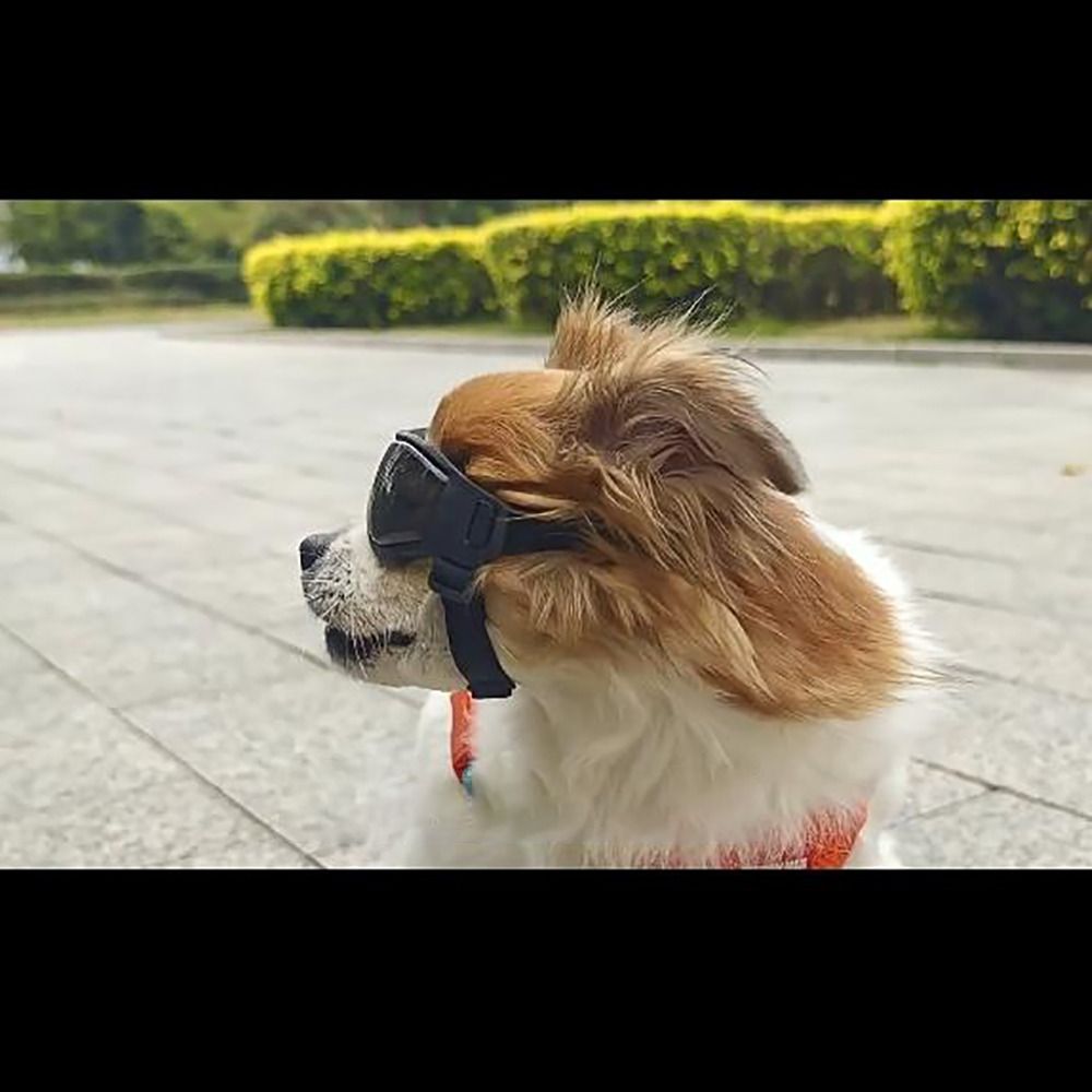 Silicon+PC+Nylon Pet Goggles A - đánh giá và giá Windsor Knot Tie